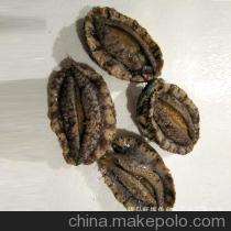 【青島直銷(xiāo) 海鮮 鮑魚(yú) 海鮮批發(fā) 鮑魚(yú)批發(fā)【圖】】?jī)r(jià)格,廠家,圖片,鮮活/冷凍水產(chǎn),青島旺福魚(yú)鄉(xiāng)水產(chǎn)品-