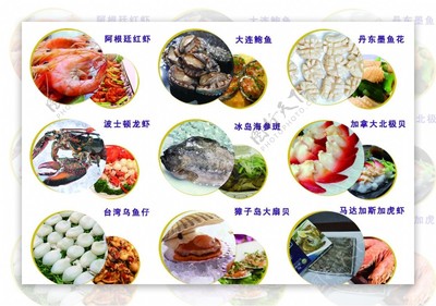 中越天海鮮產(chǎn)品展示 編號08060239精選素材