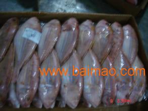 青島進(jìn)口海鮮清關(guān)代理公司 生產(chǎn)廠家、價格與海鮮進(jìn)口全解析