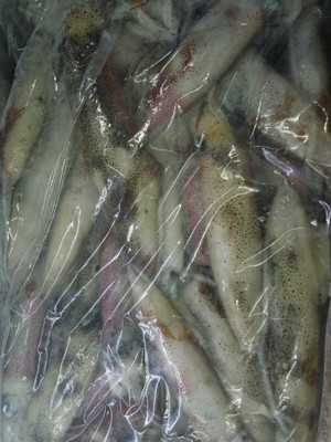 北部灣名貴海產(chǎn)鑒賞 從馬頭魚到深海蝦仁的冰鮮之美