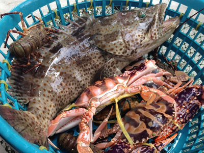 探海鮮萬(wàn)山 | 海鮮美食節(jié)探鮮團(tuán)招募，免費(fèi)吃喝玩樂(lè)等你來(lái)！