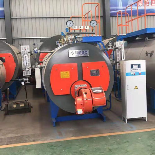 平果燃?xì)鉄崴仩t 廠家直銷，品質(zhì)可靠，價(jià)格實(shí)惠